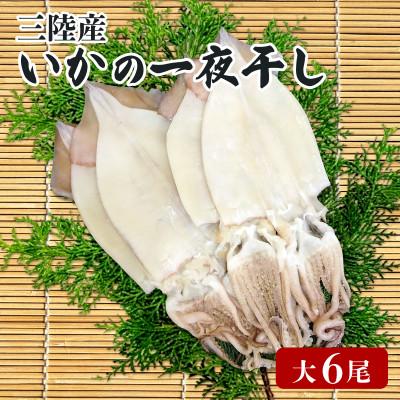 ふるさと納税 大船渡市 いかの一夜干し 大6尾 [56500390_4]