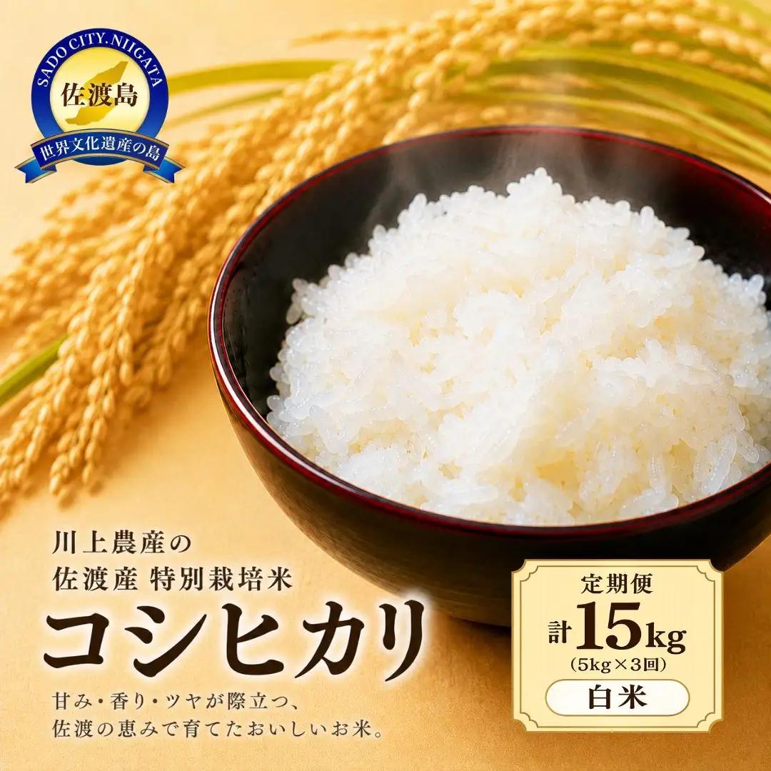 【定期便 3回】コシヒカリ 精米 5kg | 新潟県 佐渡市 コシヒカリ