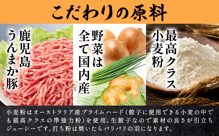 【3ヶ月定期便】鹿児島 うんまか豚 生餃子 108個 株式会社 寺師《お申込み翌月から出荷》鹿児島県 さつま町 餃子 ギョウザ 焼き餃子 水餃子
