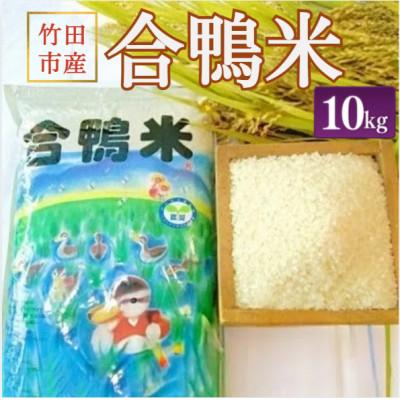 ふるさと納税 竹田市 竹田市産 合鴨米 白米 10kg