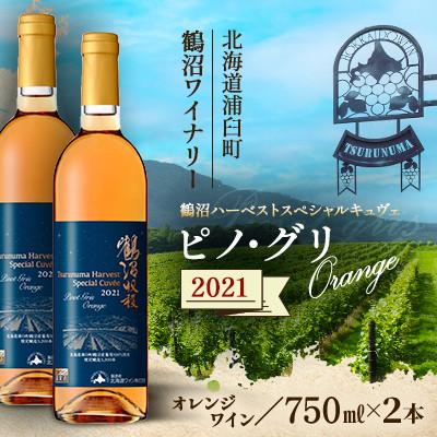 ふるさと納税 浦臼町 鶴沼収穫ワイン【スペシャルキュヴェ ピノ・グリOrange】オレンジワイン 2021年産 2本セット