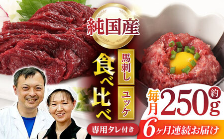 【6回定期便】 【純国産】熊本の味 「桜」 馬刺し 晩酌セット (赤身・ユッケ) 約250g タレ付【有限会社 九州食肉産業】[ZDQ145]