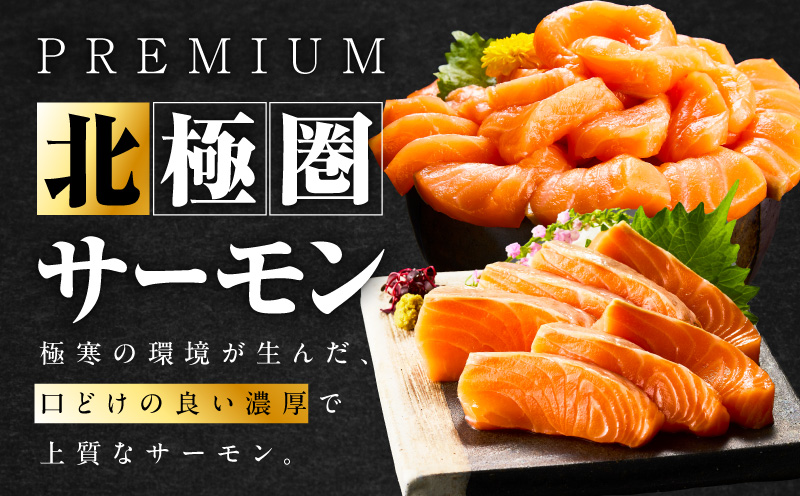 北極圏サーモン ポーション 700g【小分け 350g×2P 海鮮丼 人気 オススメ 小分け 冷凍 簡単調理 一人暮らし 東洋冷蔵】 010B1329