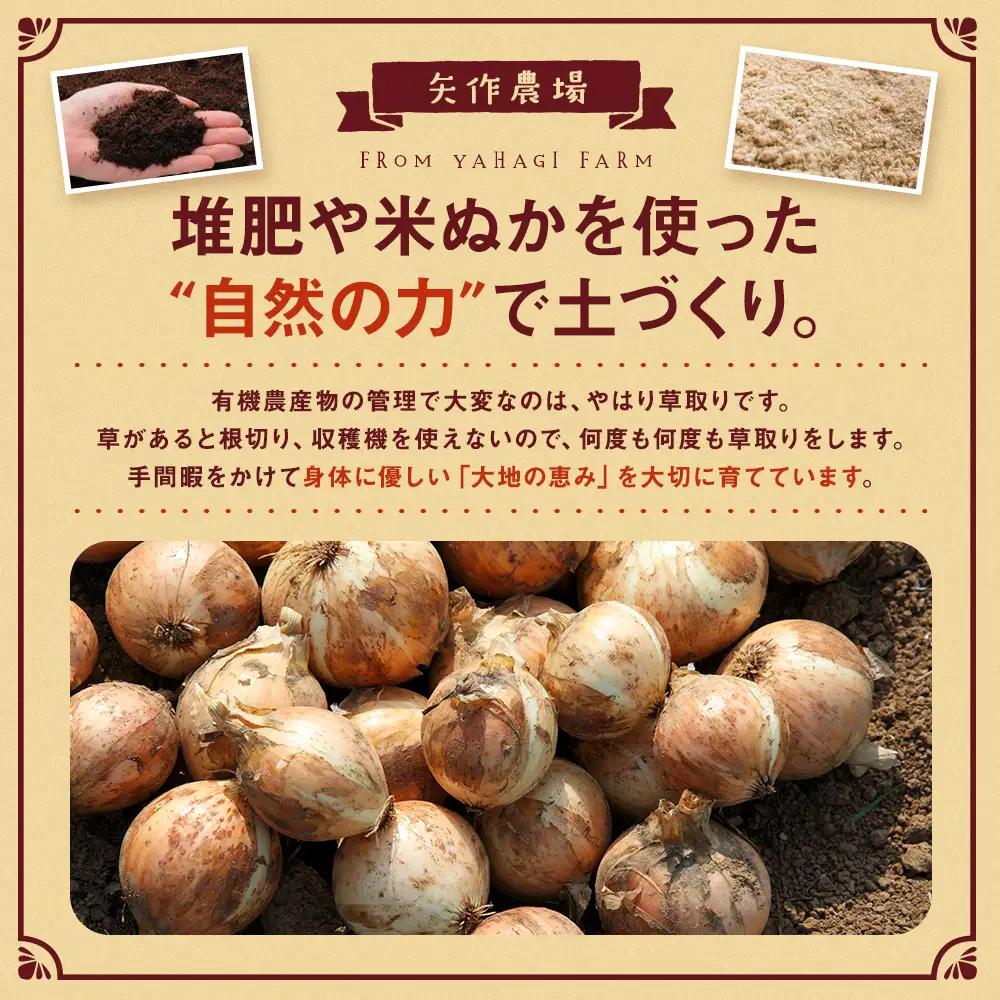 【先行受付】R8年産 有機栽培玉ねぎ 20kg | 玉ねぎ たまねぎ タマネギ 玉葱 大容量 オニオン 甘い 有機栽培 国産 産地直送 カレー ハンバーグ 煮込み 炒め物 北海道 津別町 送料無料