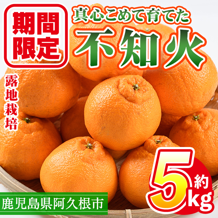 ＜2025年3月上旬以降順次発送予定＞数量限定！鹿児島県産露地栽培の不知火(計約5kg：大将季)国産 みかん ミカン 柑橘 フルーツ 果物【三笠農業生産】a-16-9