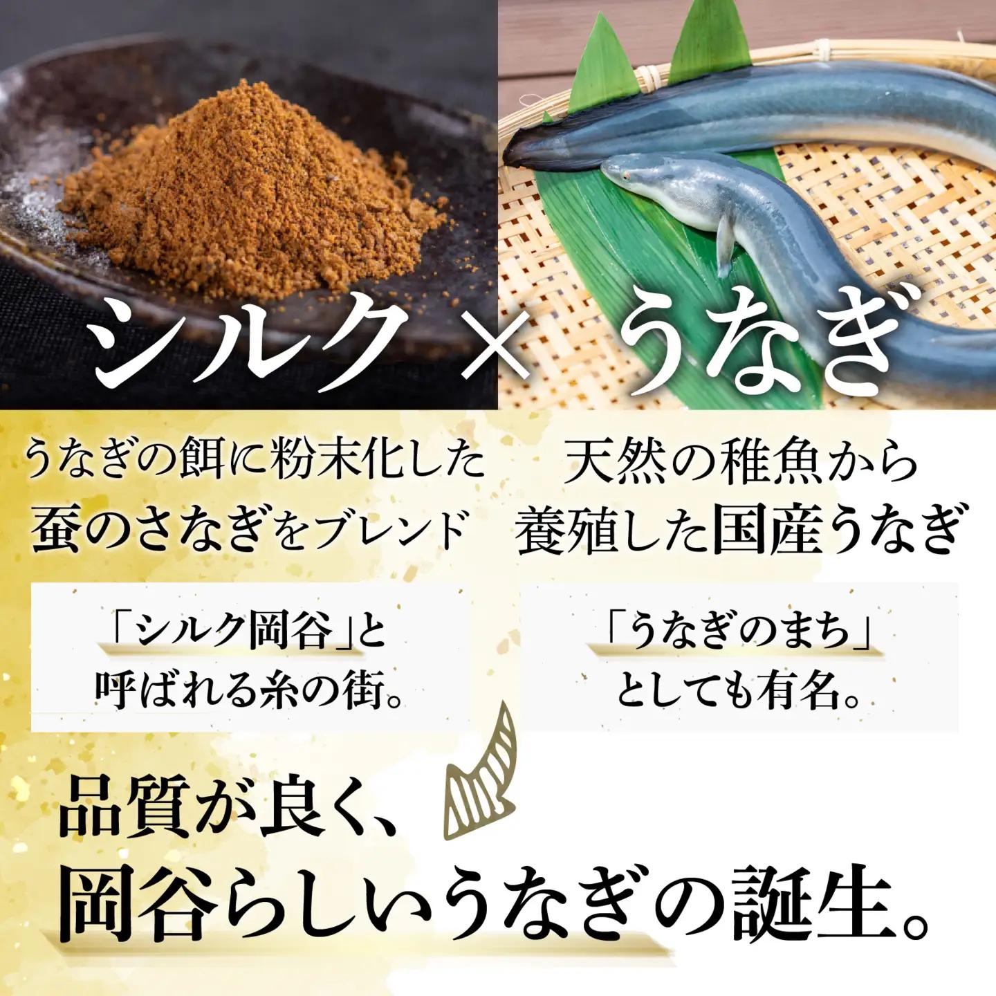 【やなのうなぎ 観光荘】シルクうなぎ蒲焼真空パック 大（125ｇ以上）×2パック
