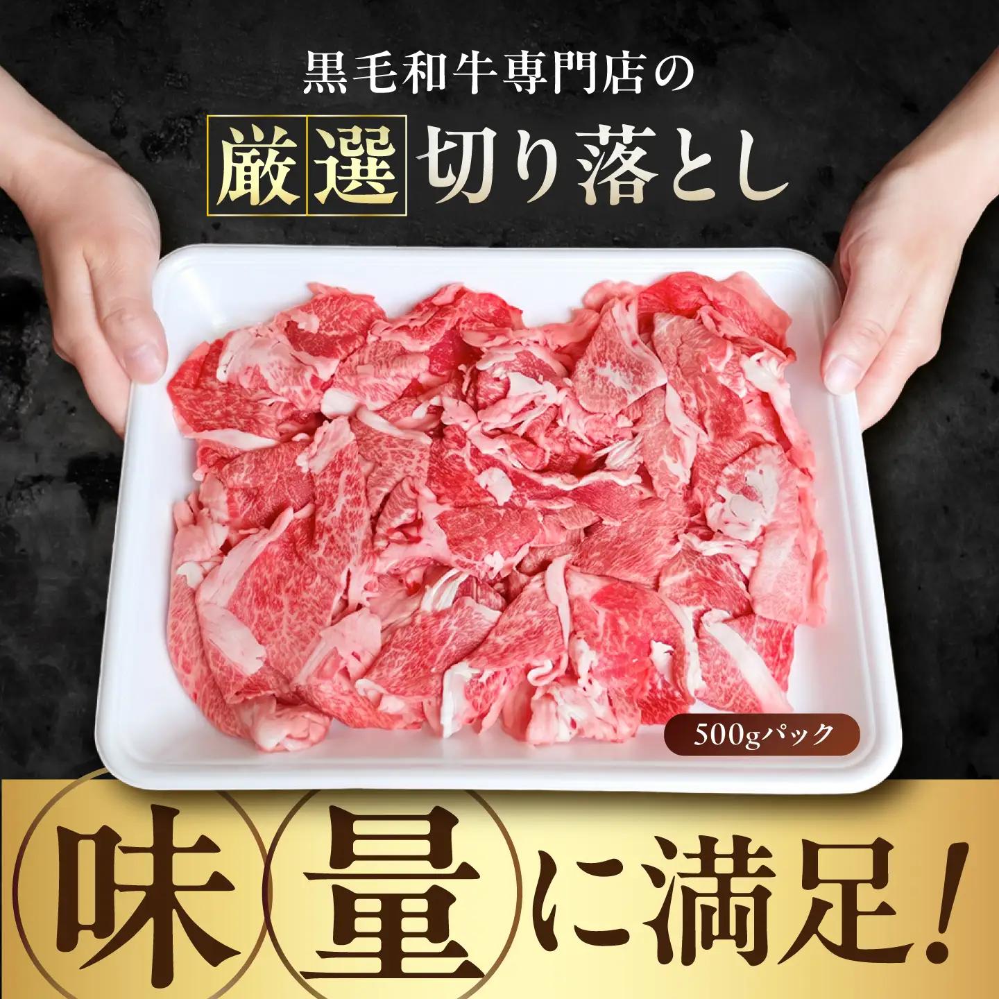 佐賀県産黒毛和牛切り落とし 500g×1P 吉野ヶ里町/石丸食肉産業[FBX050]
