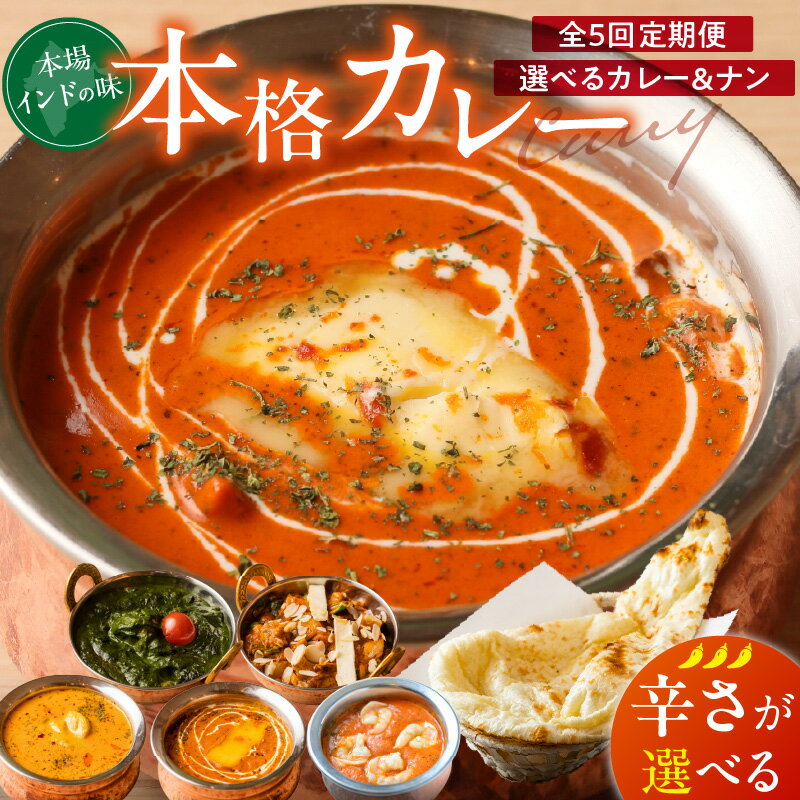 【ふるさと納税】定期便 5回 ビスヌ 本格カレー 選べる カレー チキン バターチキン 海老 豆 野菜 ほうれん草チキン ナン プレーン チーズ ガーリック パンプキンチーズ ほうれん草 辛さ マイルド 中辛 辛口 できたて 真空パック 冷凍 福岡県 久留米市 送料無料