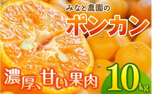 
                  【先行予約】【数量限定】みなと農園のポンカン 約10kg 【2027年2月上旬頃〜順次発送】 みかん ミカン 蜜柑 ポンカン 柑橘 フルーツ 果物 くだもの 甘い 旬 人気 産地直送 三重県 熊野市【mntf0012】
                