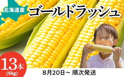 【2025年産 先行予約】スイートコーン ゴールドラッシュ 5kg 13本入り【東神楽農業協同組合】予約 野菜 トウモロコシ 甘い とうきび 新鮮 野菜 予約 国産 北海道産 夏発送