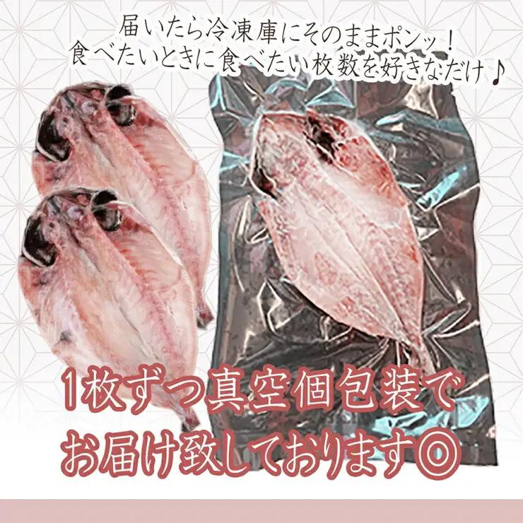 【水産事業者を応援しよう！】小田原名物「干物」をさまざまな魚でそれぞれのおいしさを。小田原干物 選りすぐり10枚セット【惣菜 魚 ひもの 選りすぐり10枚セット こだわりの逸品 おすすめの10枚セット