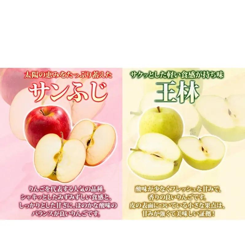 りんご 【12月発送】糖度13度～ 家庭用 サンふじ 王林 約10kg　リンゴ 林檎 青森りんご 糖度 13度 甘い 酸味 デザート フルーツ 果物 お取り寄せ 産地直送 旬 季節限定 弘果物流 青森