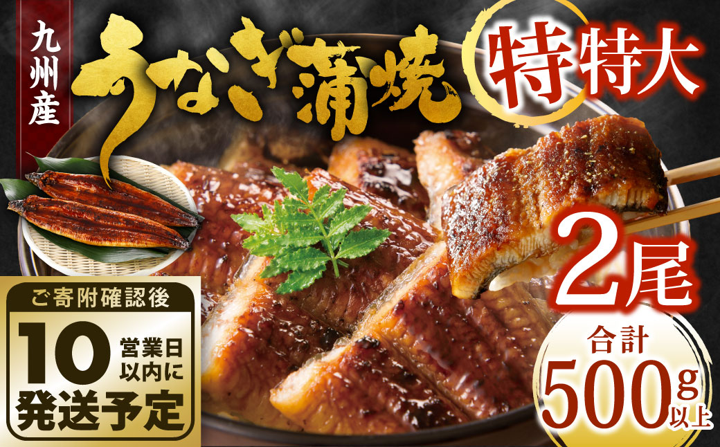 【年内配送】九州産 うなぎ蒲焼 特特大2尾 (1尾あたり250～266g) 合計500g以上