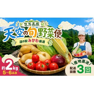 ふるさと納税 久万高原町 【発送月固定定期便】【道の駅みかわ厳選】天空の旬野菜便(野菜 詰め合わせ 5〜6種類)夏秋冬便全3回