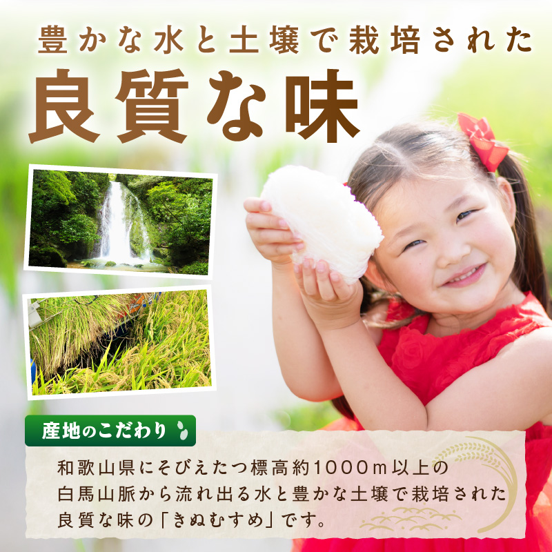 【1186】令和7年産 和歌山県産 「きぬむすめ」精米10㎏