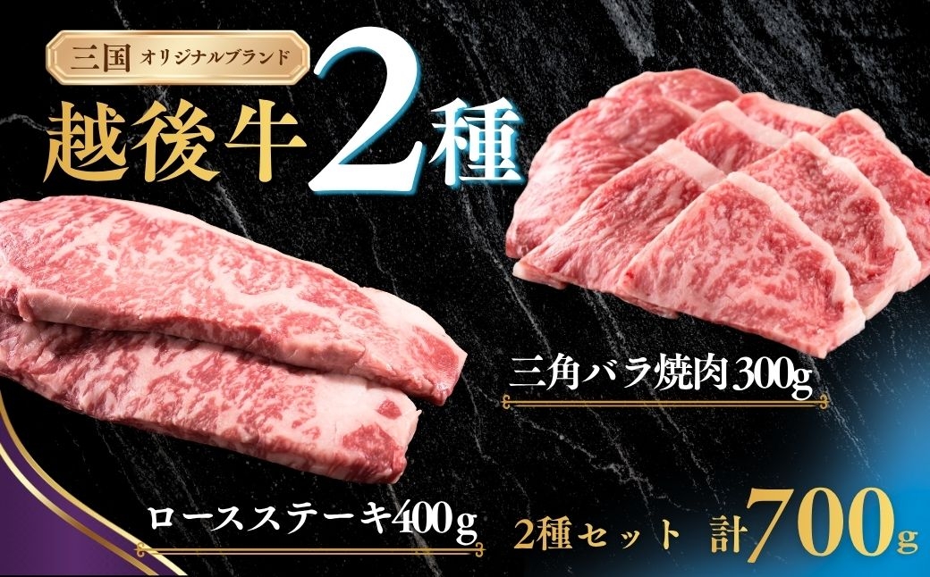 
                  新潟 越後牛 2種 ロースステーキ 400g 三角バラ焼肉 300g  計700g 三国 | 焼肉用 冷凍 ブランド牛 焼肉 越後牛 国産牛 新潟県産 焼き肉 和牛 牛肉  バラ バラ肉 ロース ロースステーキ ステーキ すてーき ぎゅうにく ギュウニク ビーフ beef 新潟県 小千谷市【0043-0011】
                