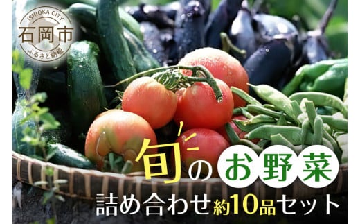 
            石岡の旬野菜詰め合わせ 約10品目 新鮮野菜セット 野菜 詰合せ 詰め合わせセット 詰め合わせ お任せ 旬の味 産地直送 農家直送 産直 お任せセット 茨城県 石岡市 ほりぐち農園 (B01-001)
          