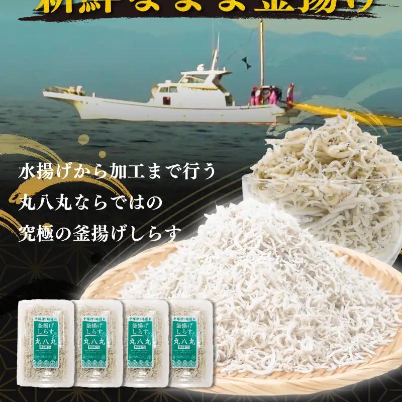 湘南水揚げ しらす 釜揚げしらす 800g (200g×4p)
