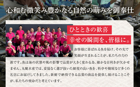 【まるけん水産】本鮪テールの和コンフィ 300g×3袋｜京都 本鮪 貴重部位