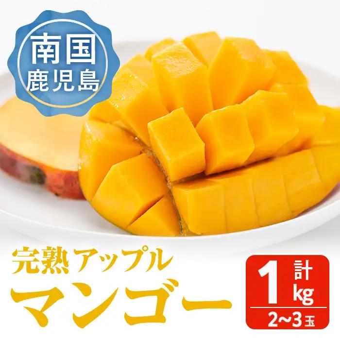 ＜家計応援！数量限定！＞＜先行予約受付中・2026年6月下旬～7月下旬頃に発送予定＞完熟アップルマンゴー「紅」(計1kg) マンゴー 果物 フルーツ【大徳産業】 A389-v03