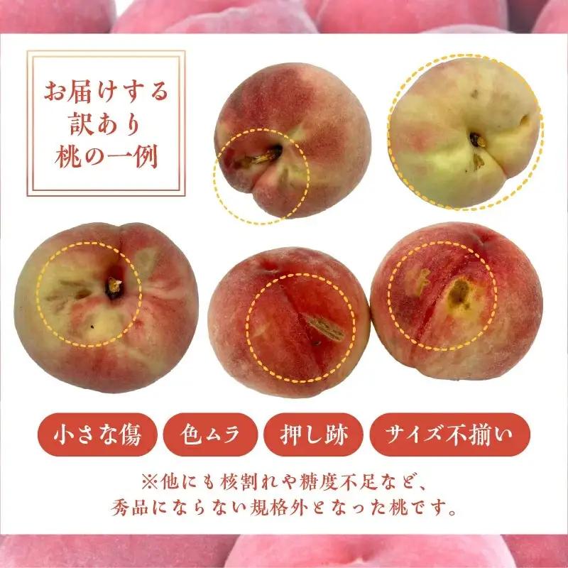 〈2027年度配送分〉甲府市産 訳あり桃 約2kg（4～8玉） 桃 フルーツ
