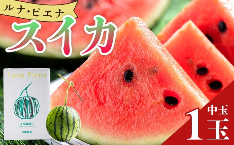 
            スイカ 先行予約 1玉 【ブランドスイカ】 ルナ・ピエナスイカ 高糖度 中玉 スイカ 西瓜 甘い 人気 スイカ2025 空中立体栽培で太陽の愛情をたっぷり受けた - ルナピエナ スイカ 贈り物 プレゼント のし 果物 フルーツ大好き 1万円以上 10000円以上 すいか 果実 yu-0014
          