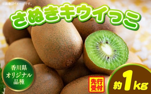 香川県オリジナルキウイフルーツ「さぬきキウイっこ」約1kg【香川県共通返礼品】 | キウイ キウイフルーツ 果物 フルーツ 青果 青果物 さぬきキウイっこ 果実 贈答 贈り物 ギフト 甘い 糖度が高い 季節のフルーツ 旬 おすすめ 香川県 三木町 |_mk006-053