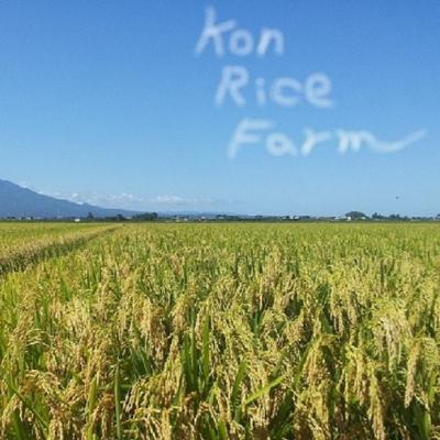 ふるさと納税 五所川原市 【令和7年産米】 特別栽培米 青天の霹靂・はれわたり 計10kg(5kg×2) 青森県産 |  | 02