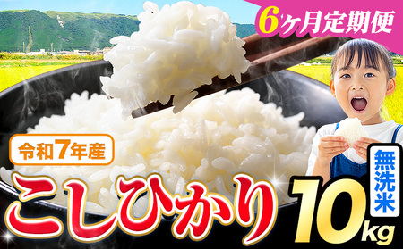 【6ヶ月定期便】令和7年産 無洗米 こしひかり 10kg 《お申込み翌月から出荷》 