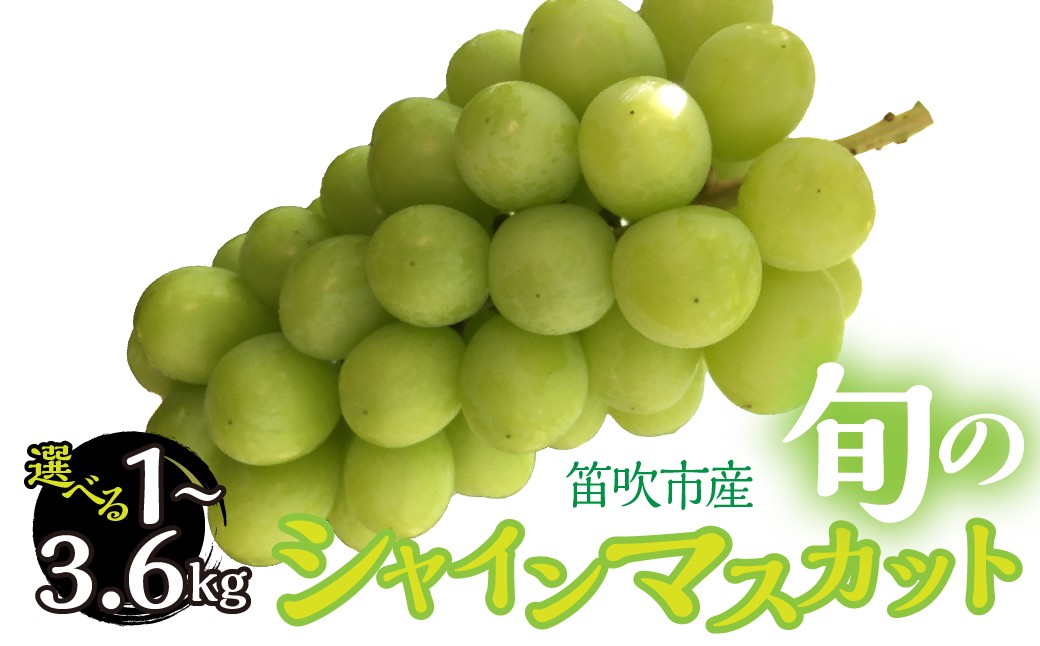 
                  【2026年発送★先行予約】 山梨県笛吹市産　シャインマスカット　選べる！約1kg or 約3.6kg　263-004-oya
                