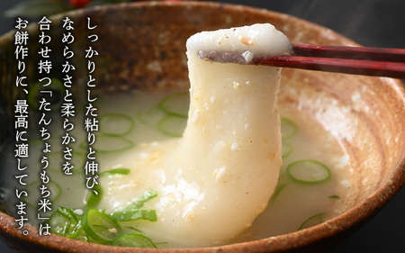 【令和7年産】たんちょうもち米 5kg 精米 ≪希少！お餅作りに最良≫ ／ 餅 タンチョウ 餅つき 丸餅 柏餅 [aw064-a018]