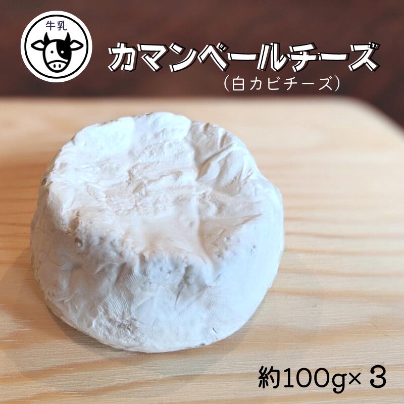 【ふるさと納税】【11月〜3月限定・牛乳】カマンベールチーズ 約100g×3パック