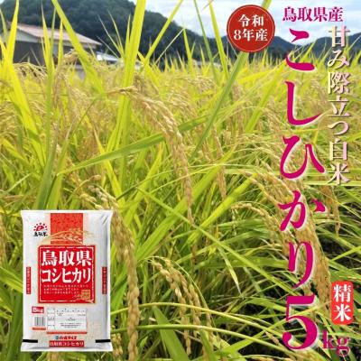 ふるさと納税 湯梨浜町 鳥取県産こしひかり◇精米5kg◇令和8年産(355M.)