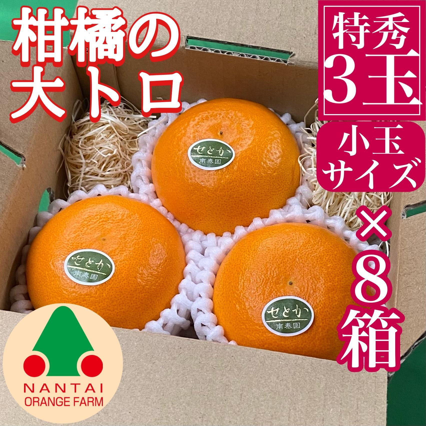 
お試し規格 柑橘の大トロ ハウス せとか 厳選 小玉 3玉入 手さげ箱 × 8箱 南泰園 和歌山 有田
