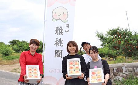 桃 2025年 先行予約 ご家庭用 岡山 白桃 5玉~9玉 2.0kg 前後 もも 岡山県産 国産 フルーツ 果物 雅桃園