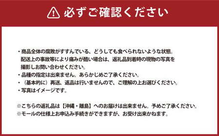 岡山白桃 晩生 ロイヤル 3玉  計800g 【2025年8月下旬発送予定】 白桃 桃 もも モモ