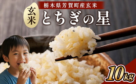 令和8年度産 とちぎの星10kg 栃木県芳賀町産玄米 | 米 お米 玄米 令和8年産 新米 とちぎの星 国産 単一米 期間限定 季節限定《2026年9月中旬-2027年1月末頃出荷予定》