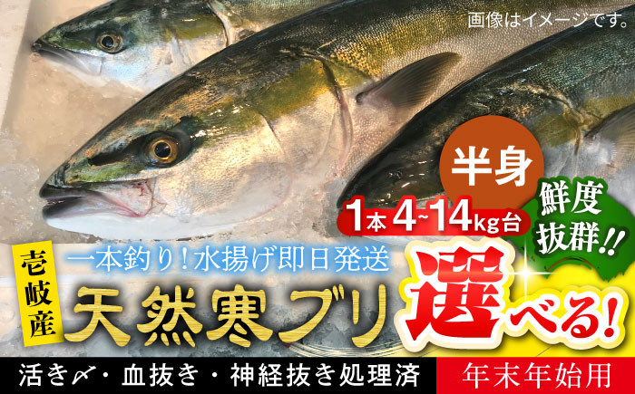 
            【選べるサイズ4～14キロ台】 【11/1〜1/15お届け 年末年始用】天然 寒ブリ（一本丸ものサイズの半身ブロック） 《壱岐市》【壱岐島　玄海屋】[JBS018]  ぶり 寒ぶり ブリ 魚 刺身 しゃぶしゃぶ
          