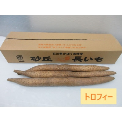 
            【先行予約】【2025年収穫分】長いも（トロフィー）１箱 5kg
          