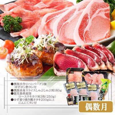 定期便(2回配送)鹿児島県産黒毛和牛・豚肉・一本釣りかつお DD-6004【配送不可地域：離島】【1166749】