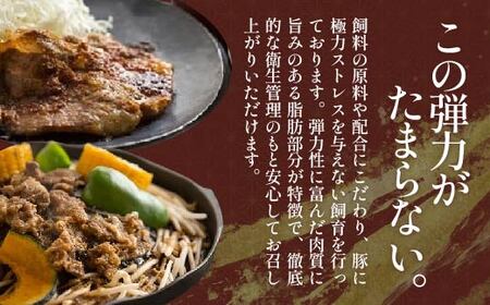 生姜焼き・豚ジンギスカン（鹿追豚Ｅセット） SKA002