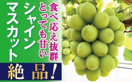 FF-45　【贈答用】　岡山のあま～い「シャインマスカット」約2kg（3～4房）