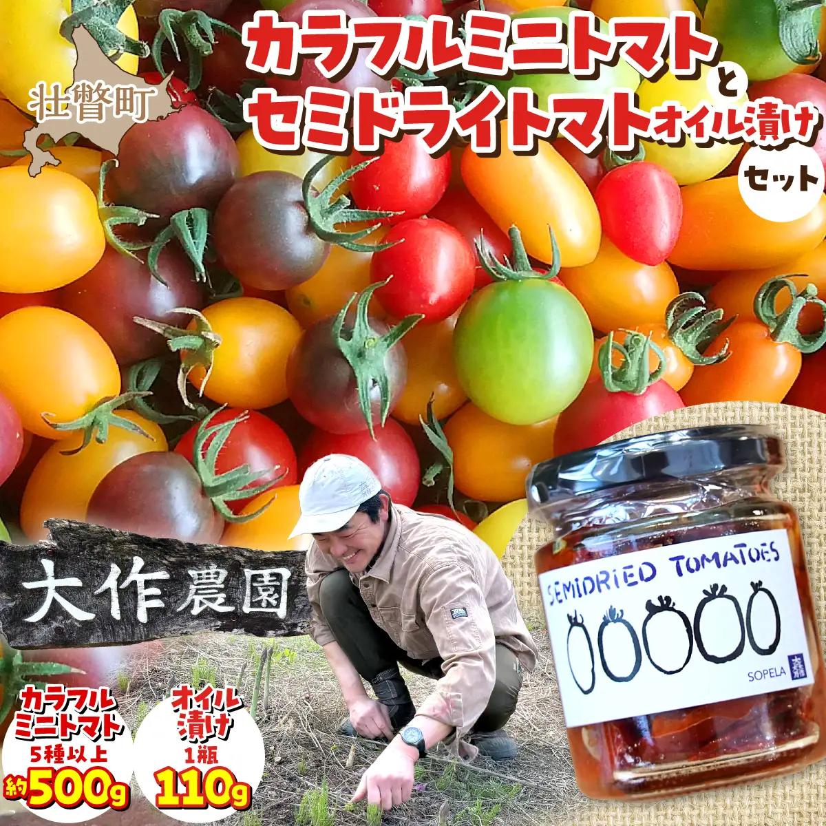 ＜2027年7月上旬よりお届け＞北海道壮瞥産 大作農園の「カラフルミニトマト」約500g（5種以上）とセミドライトマトオイル漬け1瓶（110g）のセット SBTR008