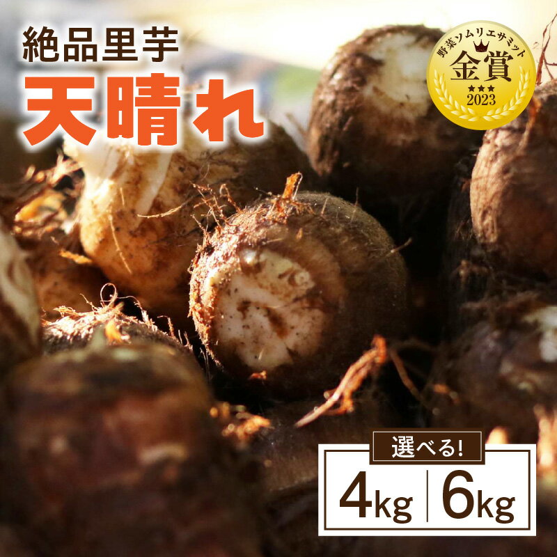 【ふるさと納税】《容量が選べる》絶品里芋 ～天晴れ～ 4kg～6kg ・S067-SKU 里芋 芋 野菜 農作物 農産物 青果 料理 材料 和食 煮物 おでん 惣菜 里芋の煮っころがし 筑前煮 特産品 特産 お取り寄せ グルメ おすそ分け 普段使い 贈り物 愛知県 西尾市