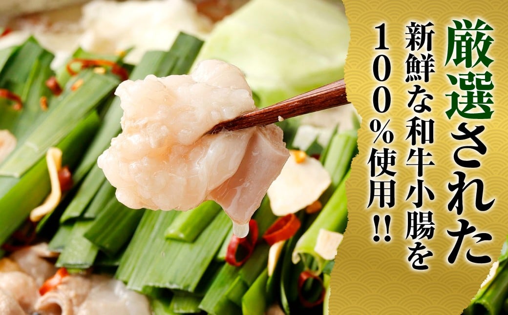 特選 もつ鍋 セット 3人前 醤油スープ モツ もつ 小腸 醤油 ちゃんぽん麺