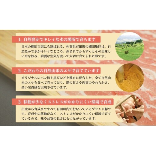 【12回定期便 総計18kg！真空個包装で便利】ありたぶた 赤身モモ 切り落とし 12ヶ月 連続 定期便 1.5kg（250g×6パック） 【有田まちづくり公社】豚 ぶた 豚肉 赤身 モモ肉 しゃぶし