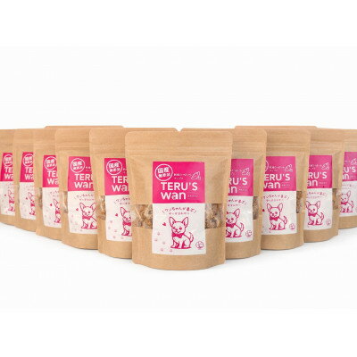 【ふるさと納税】【国産・無添加　さつまいも100%の犬用おやつ】テルズワン　100g×10パック【1721512】