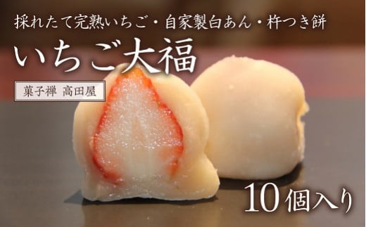（10個入）いちご大福【先行予約】 苺 イチゴ フルーツ大福 だいふく スイーツ 和スイーツ 和菓子 杵つき餅