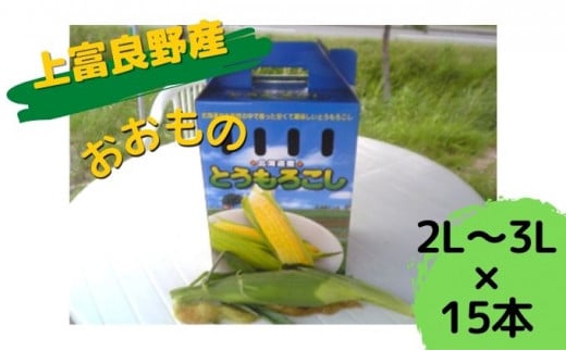 
地元上富良野産 とうもろこし おおもの 15本セット
