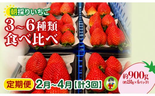いちご 食べ比べ 150g×6パック 900g 計3回 定期便2月～4月 2027年 先行予約 | コク 甘み 朝採れ イチゴ 苺 高品質 たっぷり 新鮮 完熟 旬 ストロベリー 高級 産地直送 果汁 甘い あまい 人気 高評価 高糖度 ごほうび プレゼント 朝採れ やよいひめ ななか 恋みのり あまおとめ あすかルビー 贈答用 あすかファーム 群馬県 前橋市